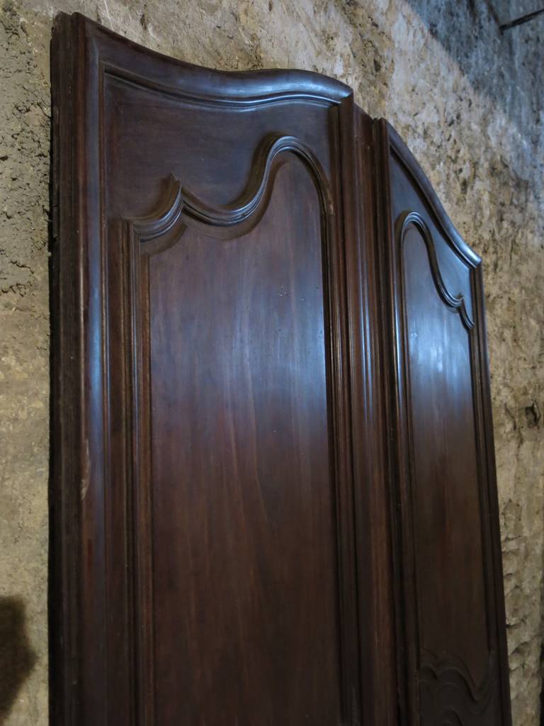 18th Century and Earlier French Louis XV Period Doors in Wood circa 1730s France For Sale