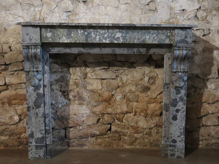 French Parisian, Napoleon III Hand Carved Marble Fireplace Paris, 19th Century