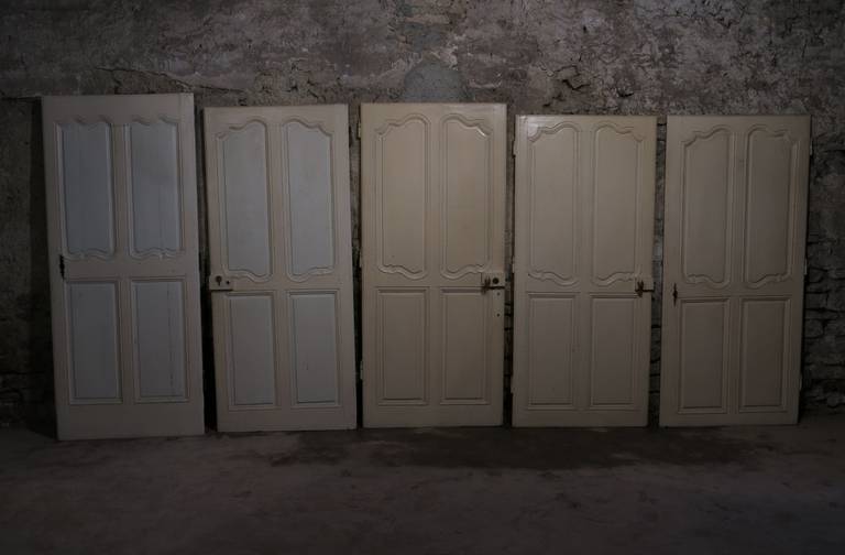 French Old Wood Doors Handcrafted, Louis XV Style, 19th Century from France For Sale 6