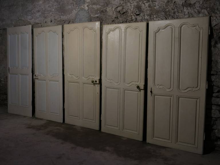 French Old Wood Doors Handcrafted, Louis XV Style, 19th Century from France (Handgefertigt) im Angebot