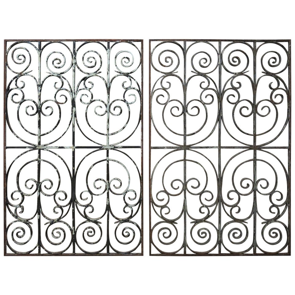 Pair of French Antique Iron Gates Handmade, Paris, circa 1830s