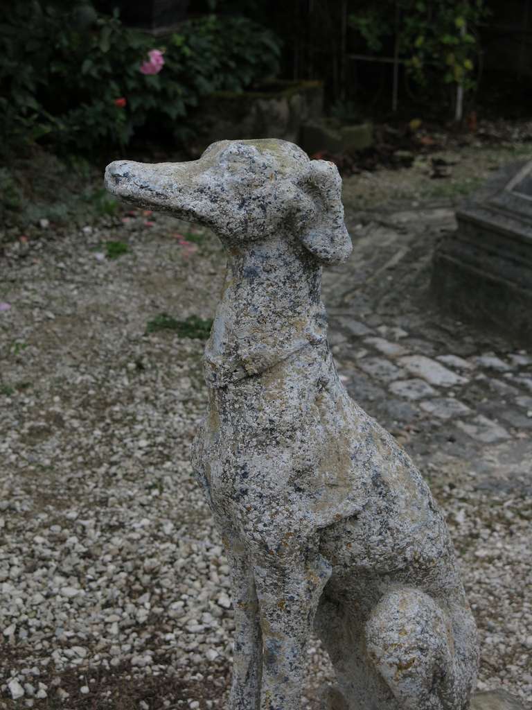 stone greyhound