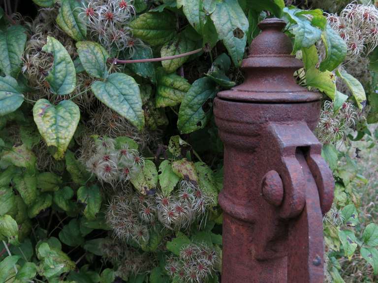 Village Water Pump in Antique Limestone from France, 19th Century For Sale 1