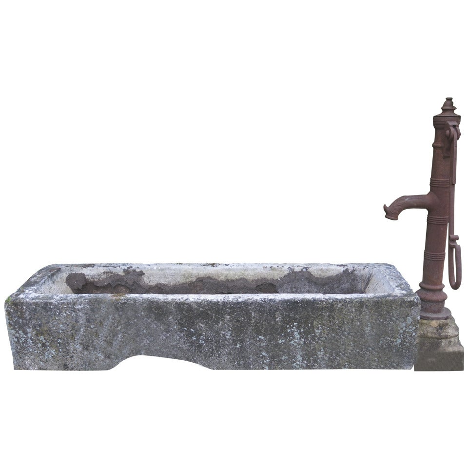 Village Water Pump in Antique Limestone from France, 19th Century For Sale