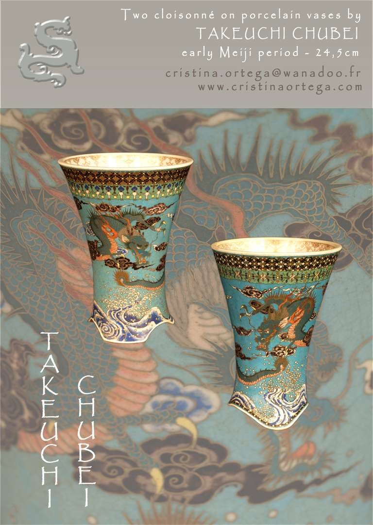 Two Cloisonné Vases by Takeuchi Chubei, Japan, Meiji Period, Circa 1880 4