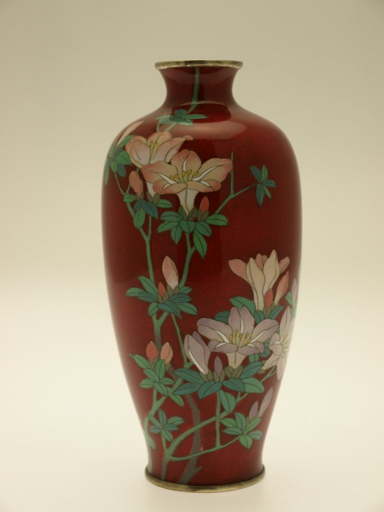 20th Century Cloisonné Vase, Meiji Period, Circa 1900 For Sale