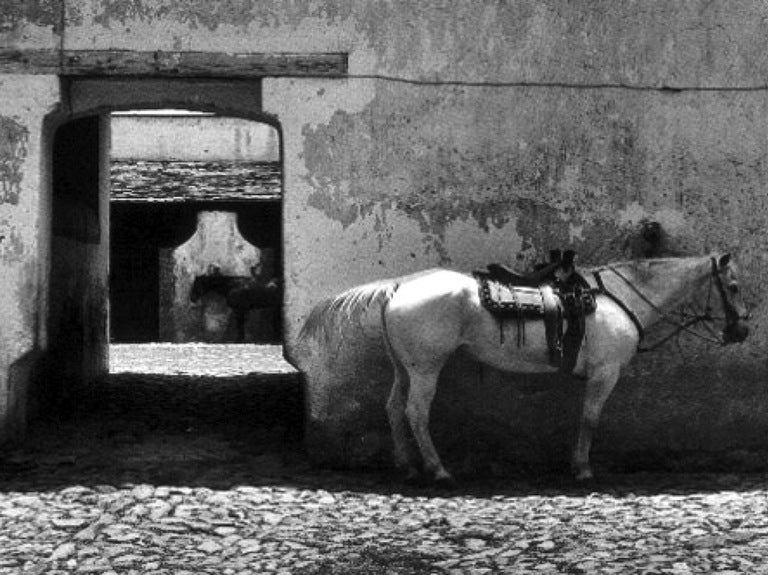 Mariana Yampolsky Signed Original Photograph Caballeriza