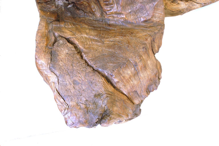 Burl Chair One Solid Piece of Wood