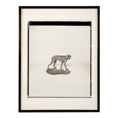 "Close Shadow" Polaroid Photograph by William Wegman, circa 1995, USA