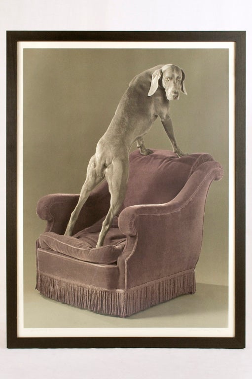 "Armed Chair" Photolitho by William Wegman, 3 / 3, 1992