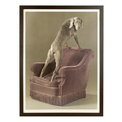 "Armed Chair" Photolitho by William Wegman, 3 / 3, 1992