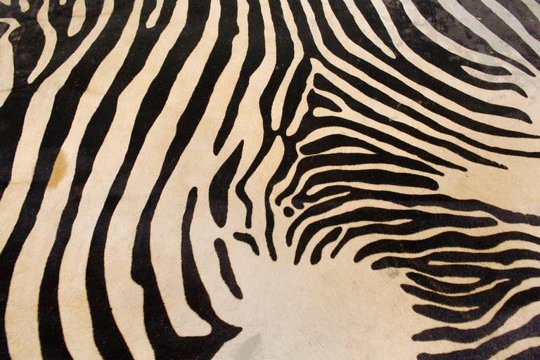 Late 20th Century Vintage Zebra Print Cowhide Rug, circa 1970, Spain
