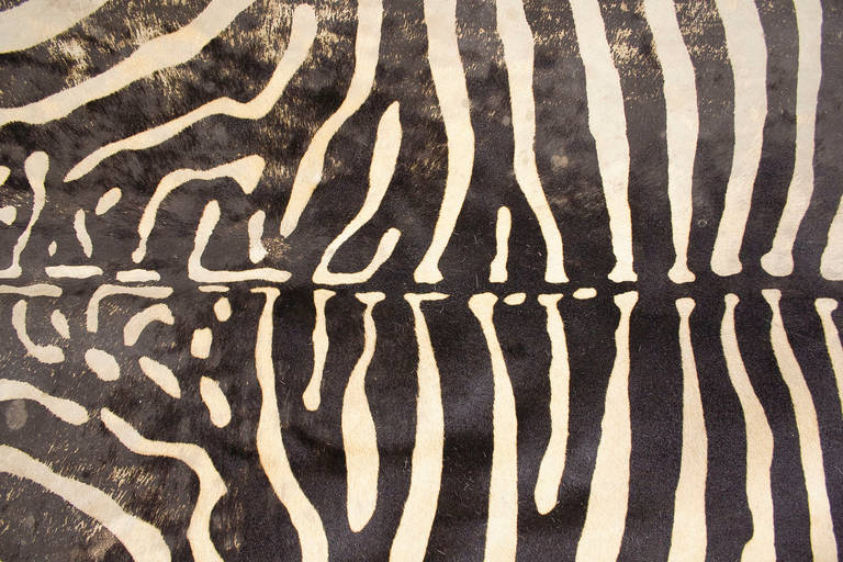 Vintage Zebra Print Cowhide Rug, circa 1970, Spain 1