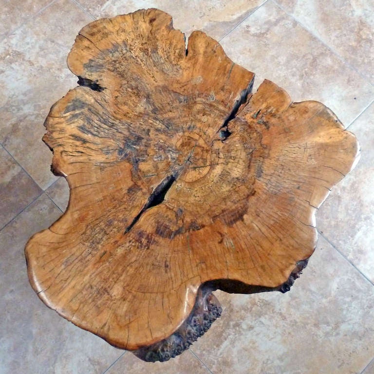 Modern Tree Stump Table With Iron And Brass Legs For Sale