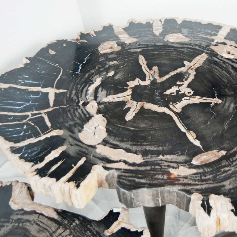 cluster of coffee tables