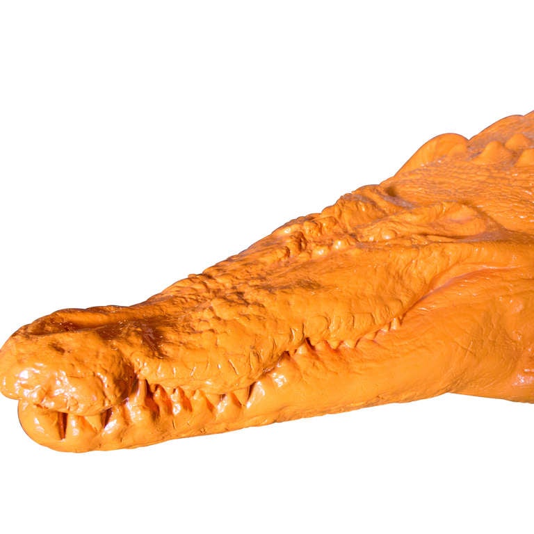 Cloned Crocodile by William Sweetlove (Belgium) 16 Feet Long
