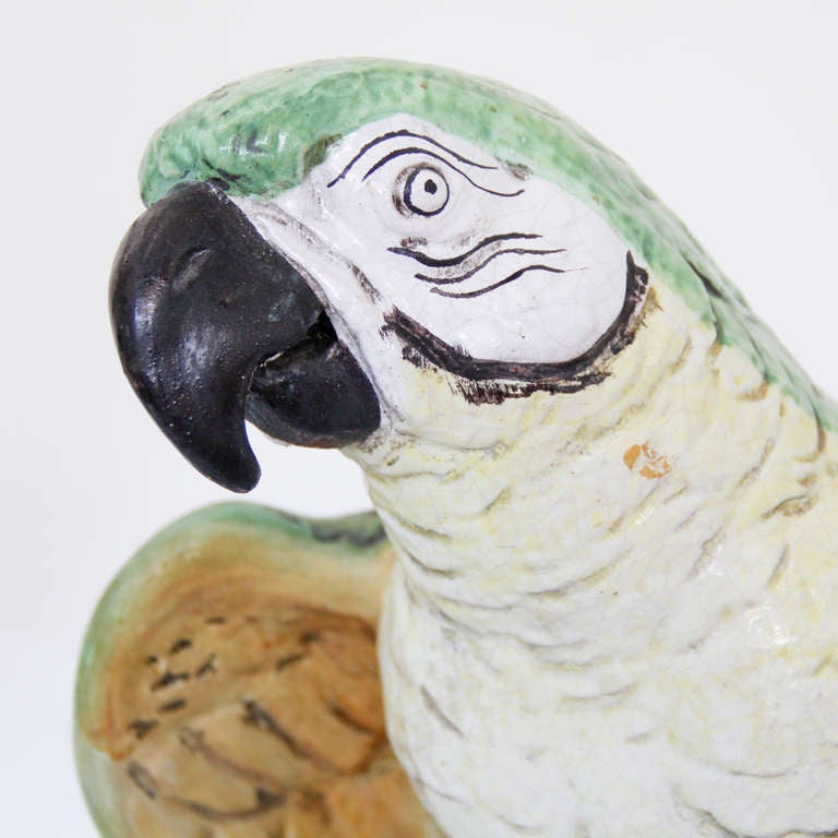 Modern Big Terra-cotta Parrots For Sale