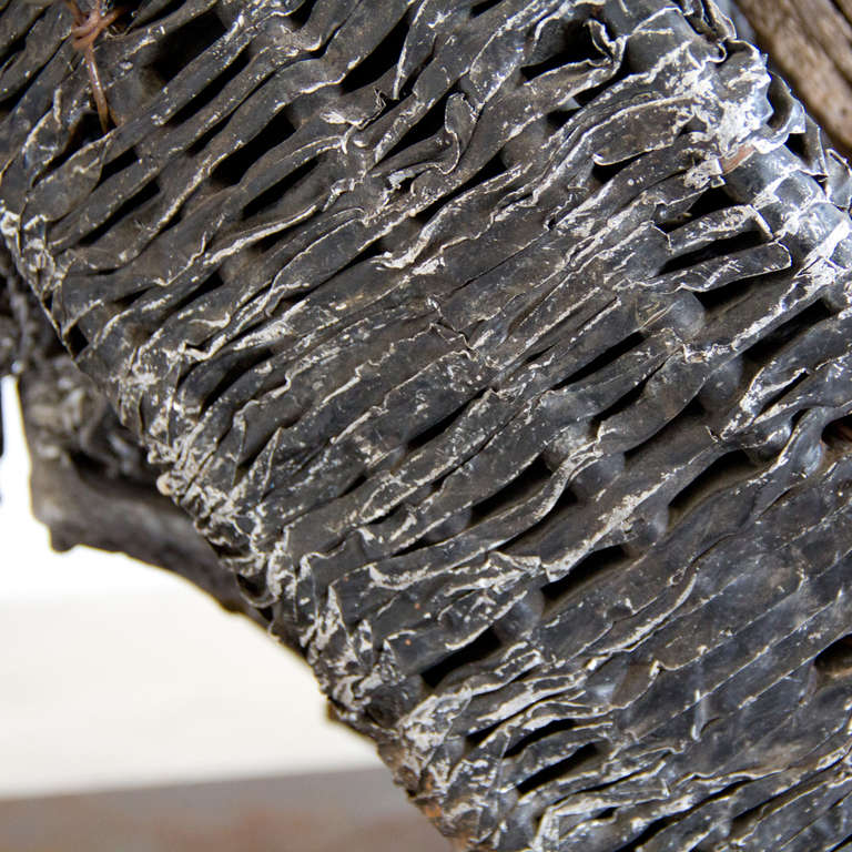 Horse By Debbie Korbel