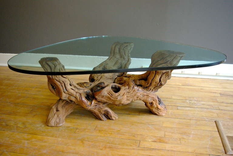 A large burl wood triangular coffee table base outfitted with a freeform Noguchi-style glass top. Demonstrates a nice contrast between organic and polished textures. 

The base measures 33