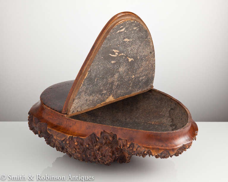 Oversized Walnut Root Snuff Box with Theatrical Scenes Scottish, circa 1840-1850 In Excellent Condition In London, GB