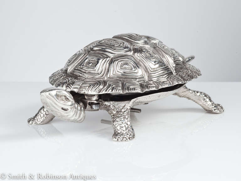 tortoise silver