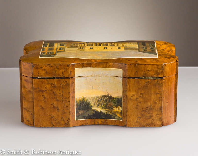 Exquisitely Painted Spa Tea Caddy Belgium c.1830-40 In Excellent Condition In London, GB