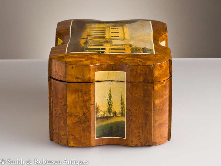 Wood Exquisitely Painted Spa Tea Caddy Belgium c.1830-40