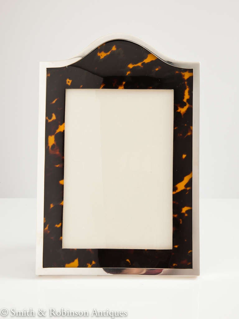 tortoise shell picture frame