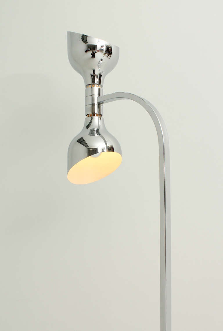 Rare Albini Floor Lamp For Sale 2