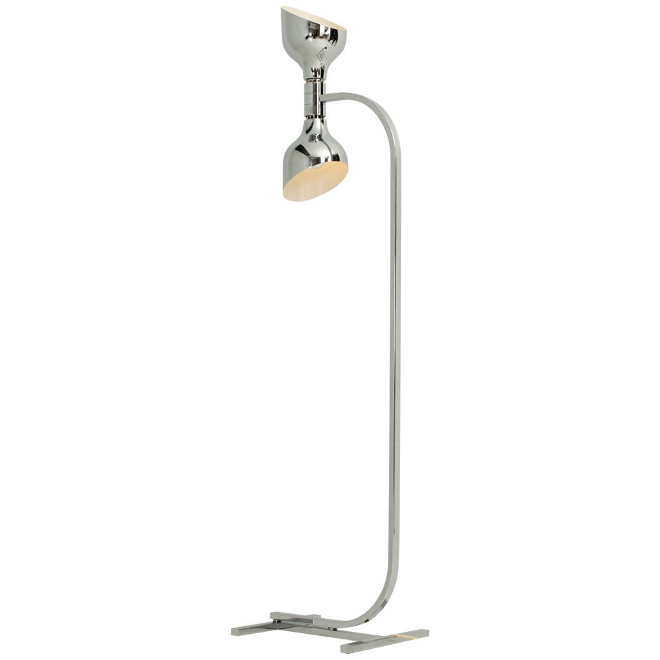 Rare Albini Floor Lamp For Sale