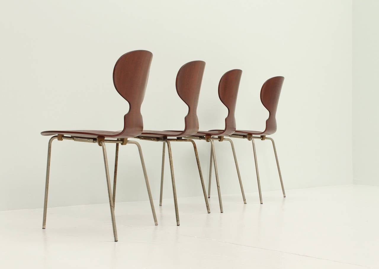 Set of Four Early Ant Chairs by Arne Jacobsen For Sale 3