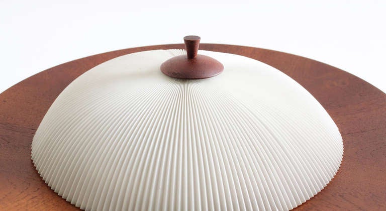 Accordion Wall or Ceiling Danish Lamp 1