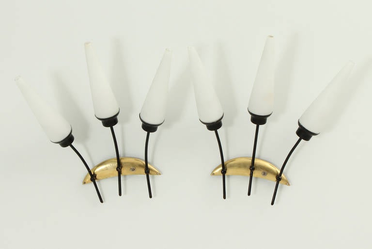 Pair of sconces attibuted to french company Arlus, 1950s. Matt opal glass diffusers, black enamelled metal and brass.