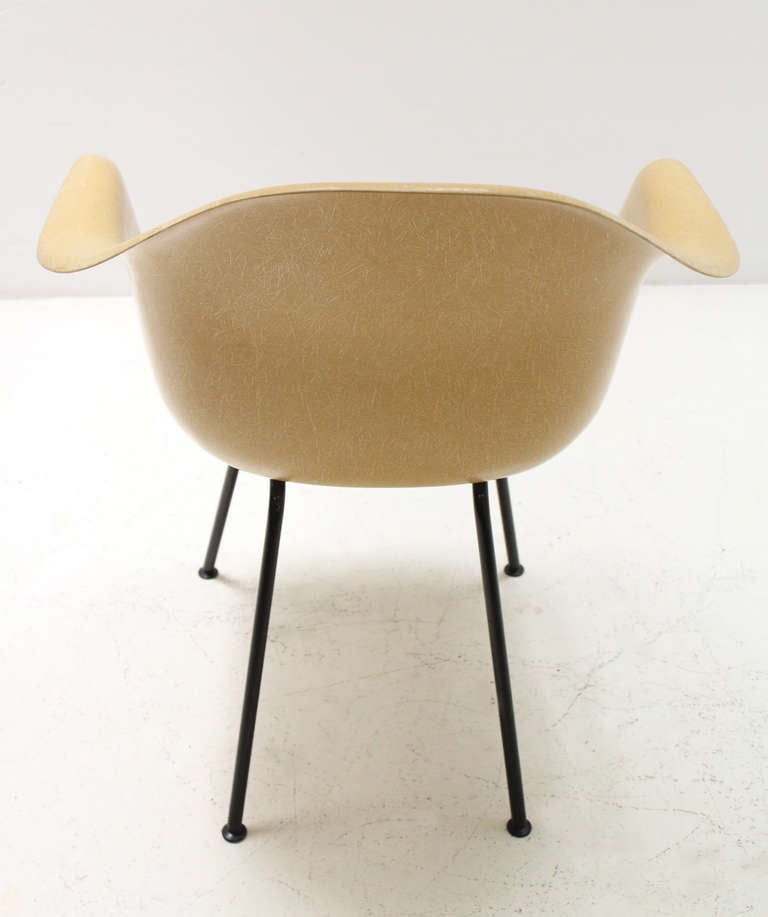 Original Mustard Fiberglass Armchair by Eames For Sale 3