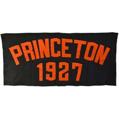 Large Princeton Felt Banner