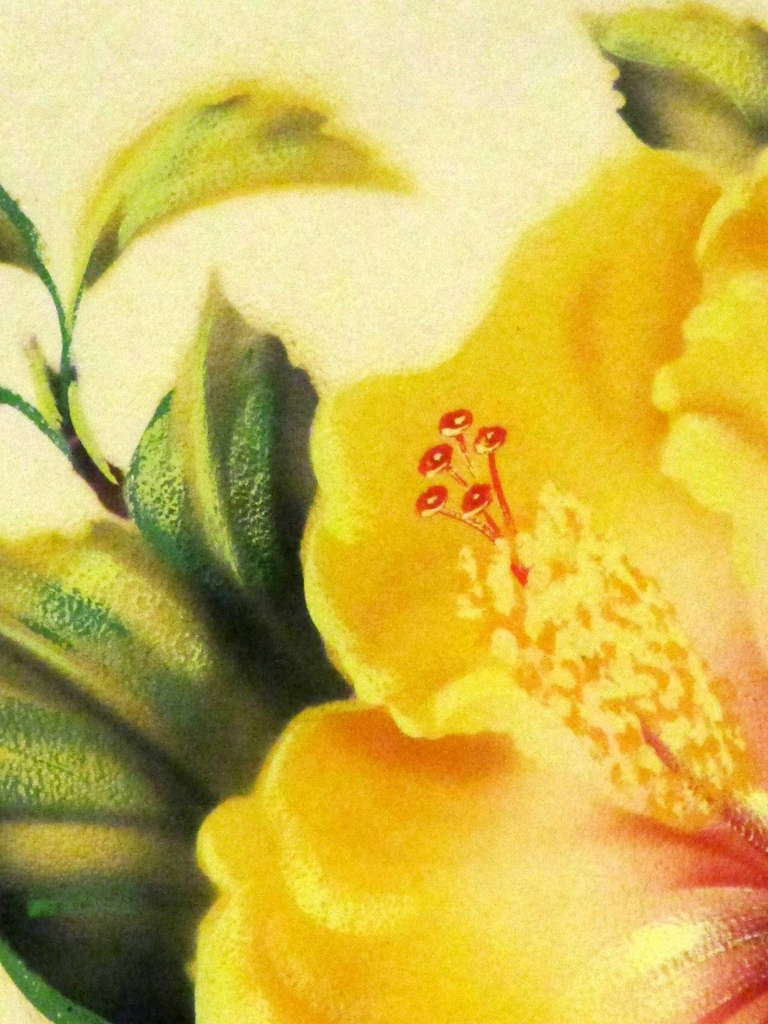 American Ted Mundorff  Hawaiian Hibiscus Airbrush Painting