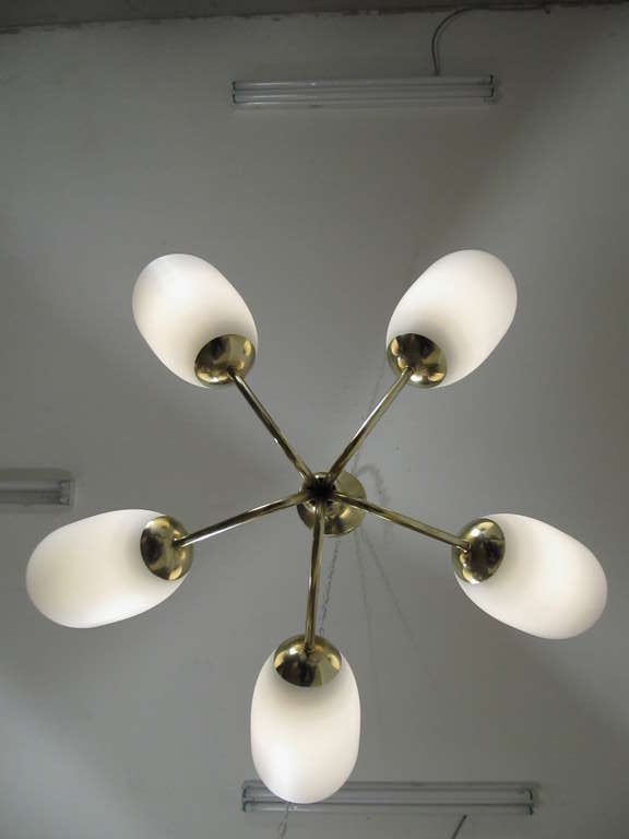 Five Arm Brass and Frosted Glass Chandelier 1