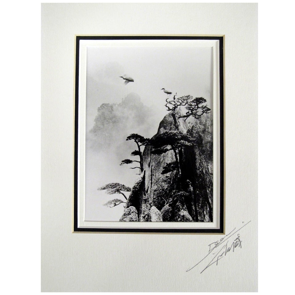 Pencil Signed Original Photograph by Don Hong Oai For Sale