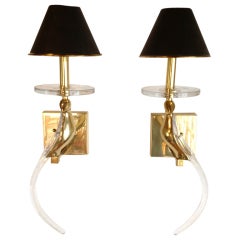 Pair of Solid Brass and Lucite Bird Wall Sconces