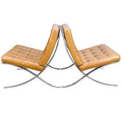 Barcelona Chairs by Ludwig Mies Van Der Rohe For Knoll