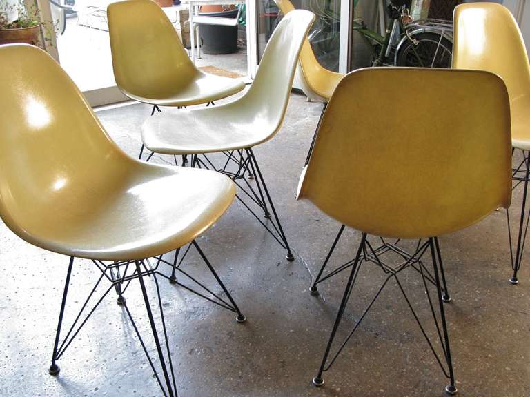 Mid-Century Modern Six 1950s Eames Eiffel Shell Chairs