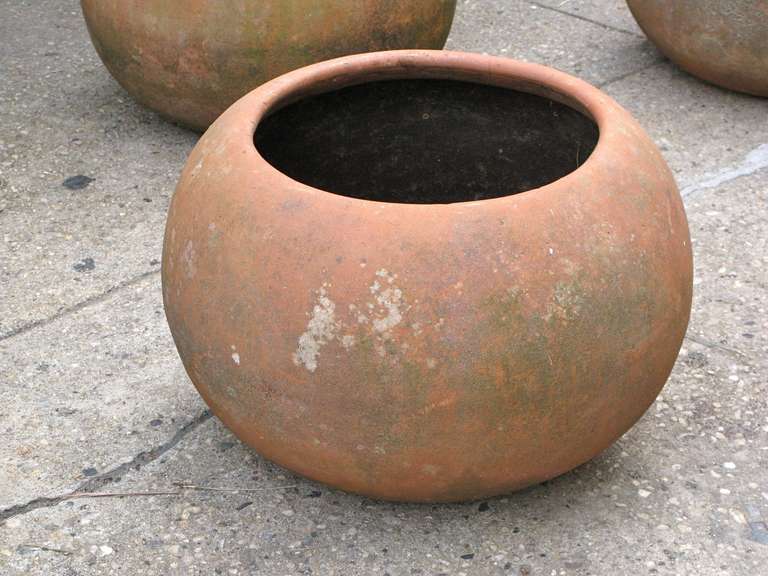 Mid-20th Century Mid-Century Mexican Terracotta Pots