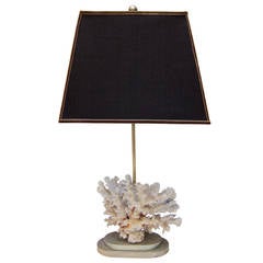 Maison Bagues, A coral table lamp. France 40'
