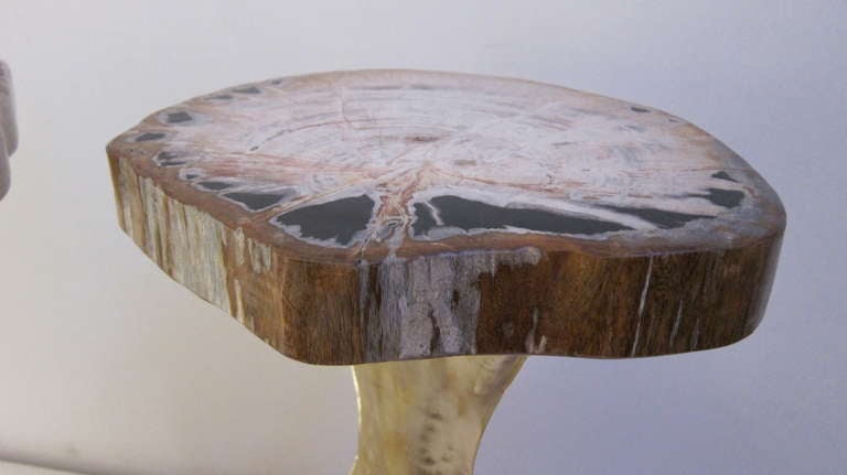 Contemporary Three Brass and Fossil Wood Small Table For Sale