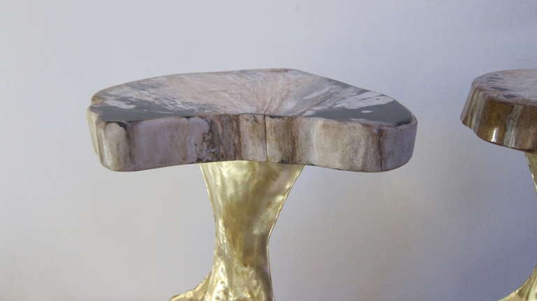 Three Brass and Fossil Wood Small Table For Sale 3