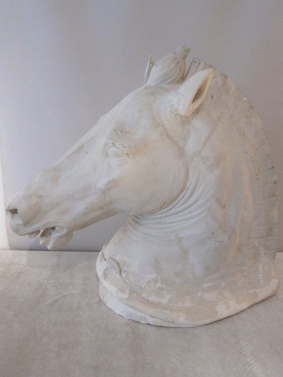 Plaster real size horse head from the original models in Piazza San Marcos, Venice. Second half of xxth century