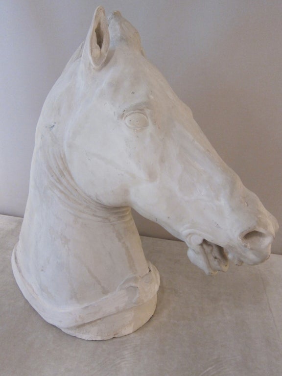 plaster horse head
