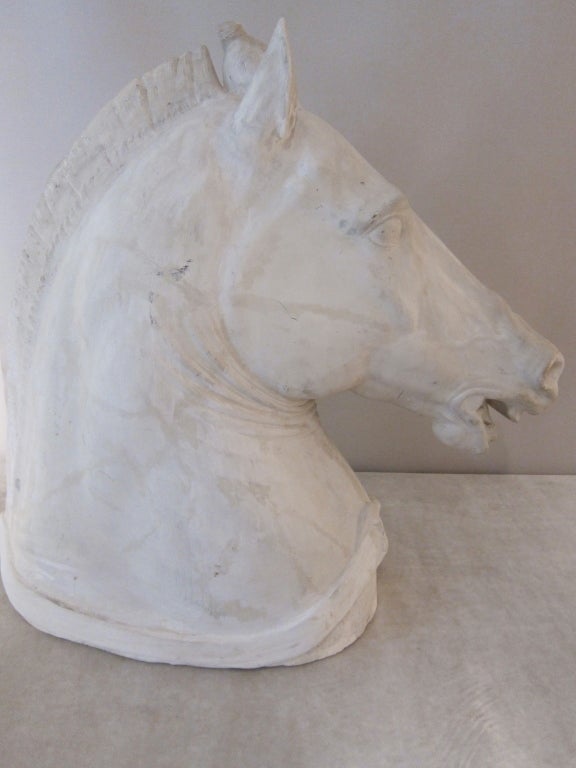 Italian Life-size Plaster Sculpture of a Venetian Horse Head For Sale