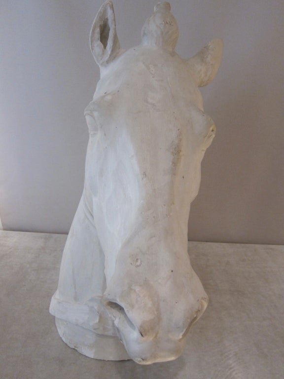 Life-size Plaster Sculpture of a Venetian Horse Head In Excellent Condition For Sale In Madrid, ES