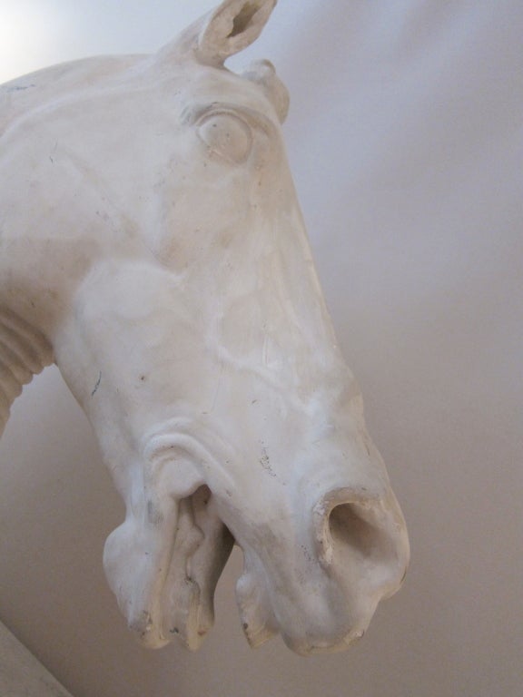 20th Century Life-size Plaster Sculpture of a Venetian Horse Head For Sale